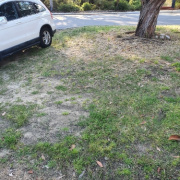Driveway parking on  