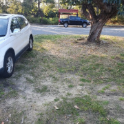 Driveway parking on  