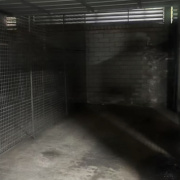 Garage parking on  