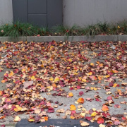 Outdoor lot parking on  