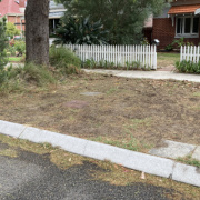 Driveway parking on  