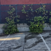 Outdoor lot parking on  