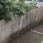 Driveway parking on  