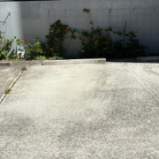 Driveway parking on  
