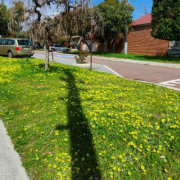 Outside parking on  