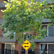 Outside parking on Outside parking on
