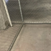 Storage Cage storage on  