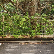 Outside parking on  