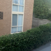 Driveway parking on  