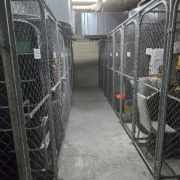 Storage Cage storage on  