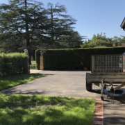 Driveway parking on  