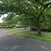 Driveway parking on  