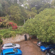 Outdoor lot parking on  