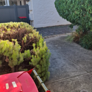 Driveway parking on  