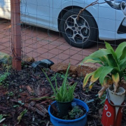 Driveway parking on  