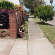Driveway parking on Driveway parking on