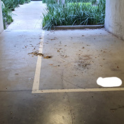 Undercover parking on Undercover parking on