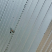 Shed storage on  