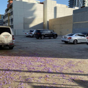 Outdoor lot parking on Outdoor lot parking on