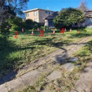 Driveway parking on Driveway parking on