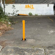 Driveway parking on Richards Ave in Surry Hills