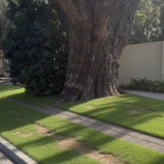 Outside parking on Outside parking on