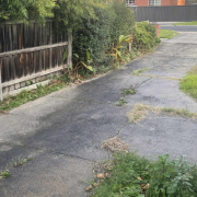 Driveway parking on  