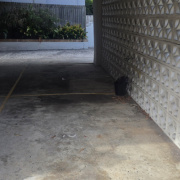 Undercover parking on  