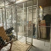 Storage Cage storage on Storage Cage storage on