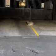 Indoor lot parking on  