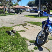 Driveway parking on  