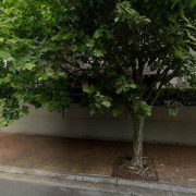 Undercover parking on Undercover parking on