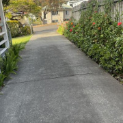 Driveway parking on Driveway parking on