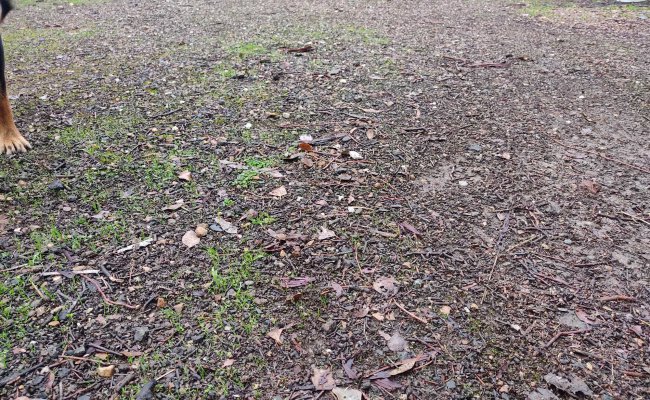 Car-Park-ashley-road-yarrambat-victoria,-138230,-601522_1722020208.5982.jpg