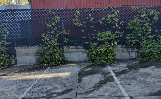 Car-Park-barkly-street-fitzroy-north-victoria,-116211,-805896_1790297401.0497.jpg
