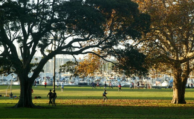 Car-Park-bayswater-road-rushcutters-bay-new-south-wales,-107399,-529887_1777788813.708.jpg
