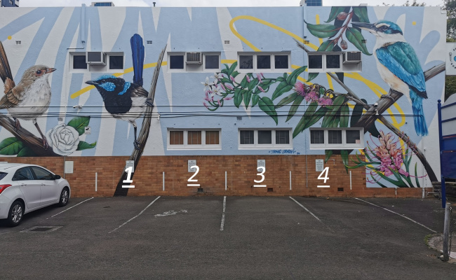 Car-Park-burwood-road-burwood-new-south-wales,-92084,-464613_1730351360.0169.jpg