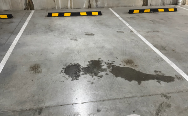 Car-Park-canterbury-road-belmore-new-south-wales,-97288,-463909_1729982274.5727.jpg