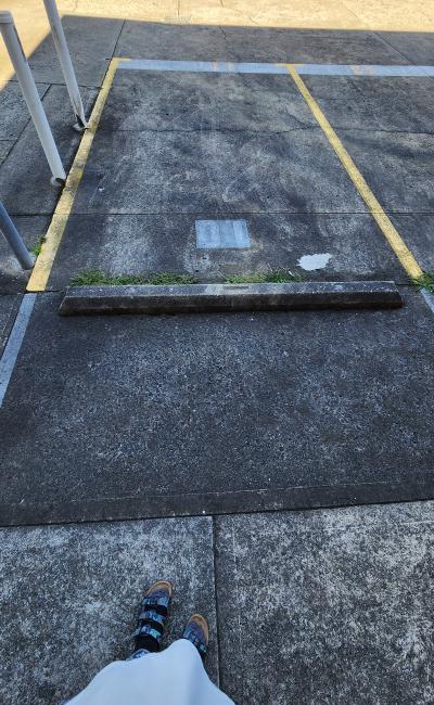 Car-Park-cecil-street-ashfield,-99781,-481794_1741589398.9217.jpg