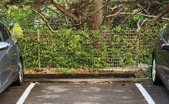 Car-Park-cook-road-centennial-park-new-south-wales,-155542,-775737_1780934034.2539.jpg