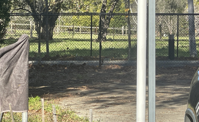 Car-Park-cranstons-road-middle-dural-new-south-wales,-101791,-495726_1752106280.3636.jpg