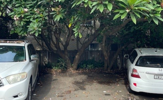 Car-Park-darley-road-manly-new-south-wales,-100266,-485153_1743898684.955.jpg