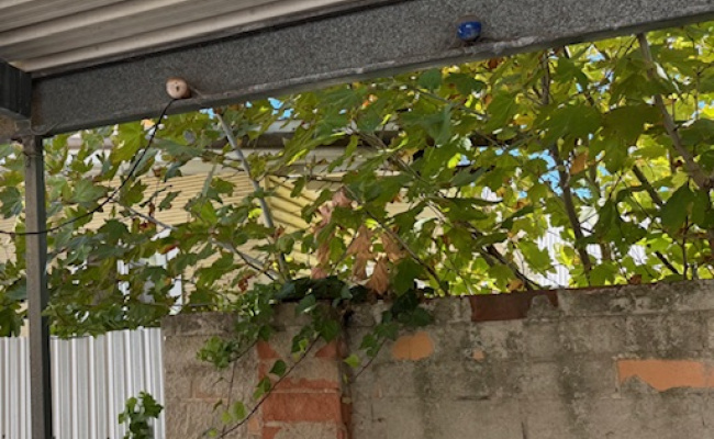 Car-Park-dundas-street-rosewater-south-australia,-142272,-669312_1741749288.0432.jpeg