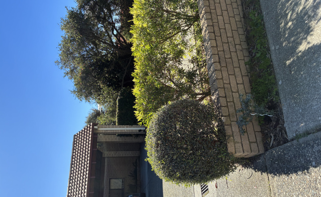 Car-Park-elvira-street-palmyra-western-australia,-108171,-539930_1784694377.5126.jpg
