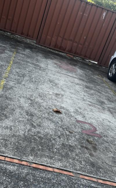Car-Park-everton-road-strathfield-new-south-wales,-100404,-485884_1744584548.0476.jpeg