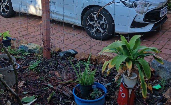 Car-Park-jordan-place-wattle-grove-western-australia,-107850,-533940_1780838528.1242.jpg