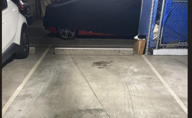 Car-Park-kings-cross-road-darlinghurst-new-south-wales,-110421,-557015_1792462268.7826.png