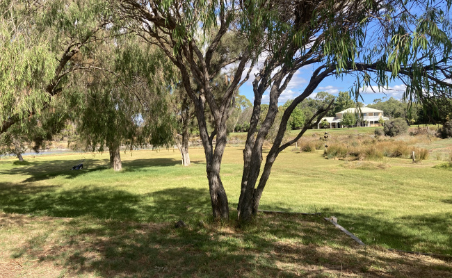 Car-Park-layman-road-wonnerup-western-australia,-103313,-504829_1759205708.8109.jpeg