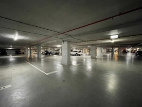 Car-Park-park-lane-chippendale-new-south-wales,-110532,-557738_1792673990.3859.jpg