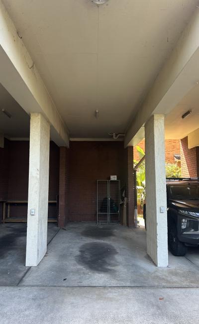Car-Park-pine-street-randwick-new-south-wales,-98561,-472973_1736640223.1553.jpeg